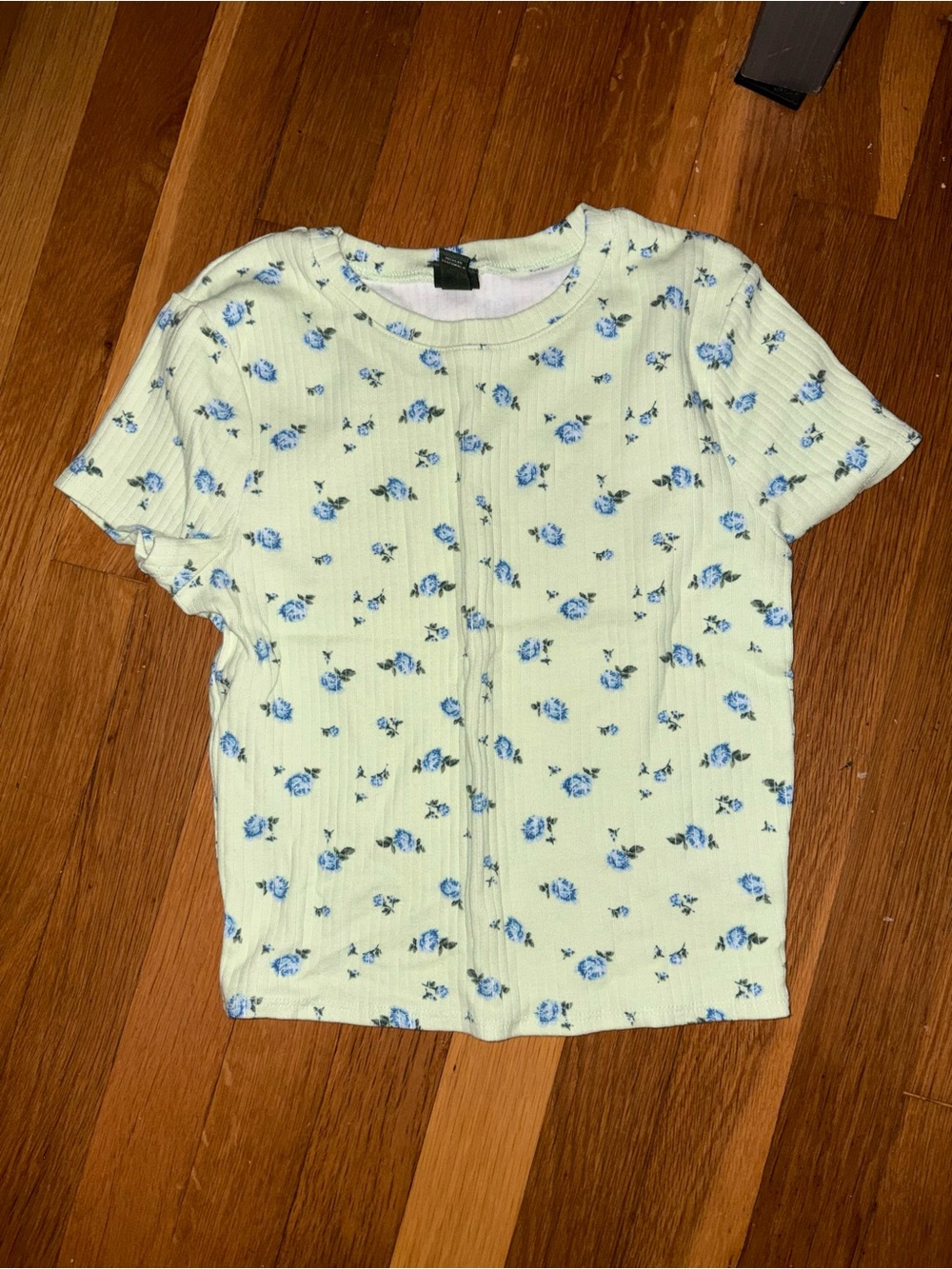 wild fable Light Green Ribbed Tee with Blue Floral Print